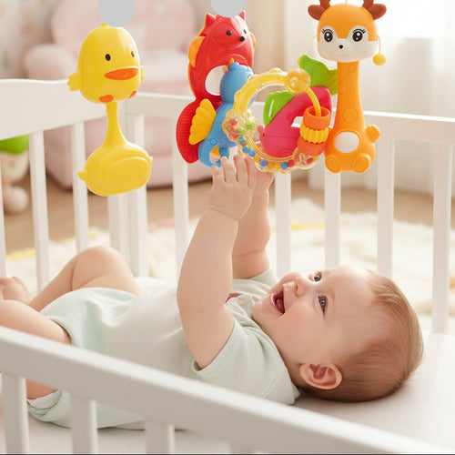 Baby Rattles Set of 6 for Infants