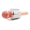 Wireless Karaoke Microphone with Bluetooth Speaker for Kids