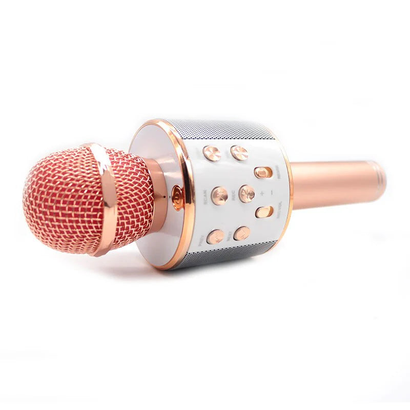 Wireless Karaoke Microphone with Bluetooth Speaker for Kids