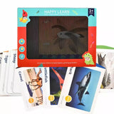 Magic Screen Happy Learning Toy – Pull & Play Educational Toy for Kids