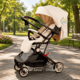 Baobaohao Luxury Reversible Cabin Travel Stroller