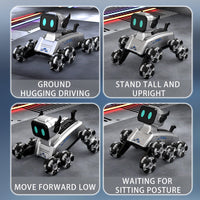8-Wheel Mecanum Drive RC Robot Cat for Kids Pakistan