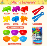 Animal Counting & Color Sorting Matching Game with Rainbow Bowls