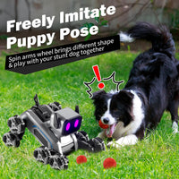 RC spray robot dog mist spray function in action, rechargeable robot toy