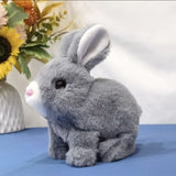 Interactive Walking Rabbit Toy with Sound (Battery Operated)