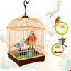 Voice Control Bird Cage Toy with Lights & Music for Kids