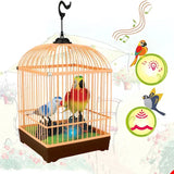 Voice Control Bird Cage Toy with Lights & Music for Kids