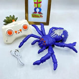 Wall Climbing RC Spider Toy – Crawls Walls &amp; Ceilings