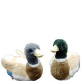 Realistic Mallard Duck Plush Stuffed Toy with Premium Faux Fur